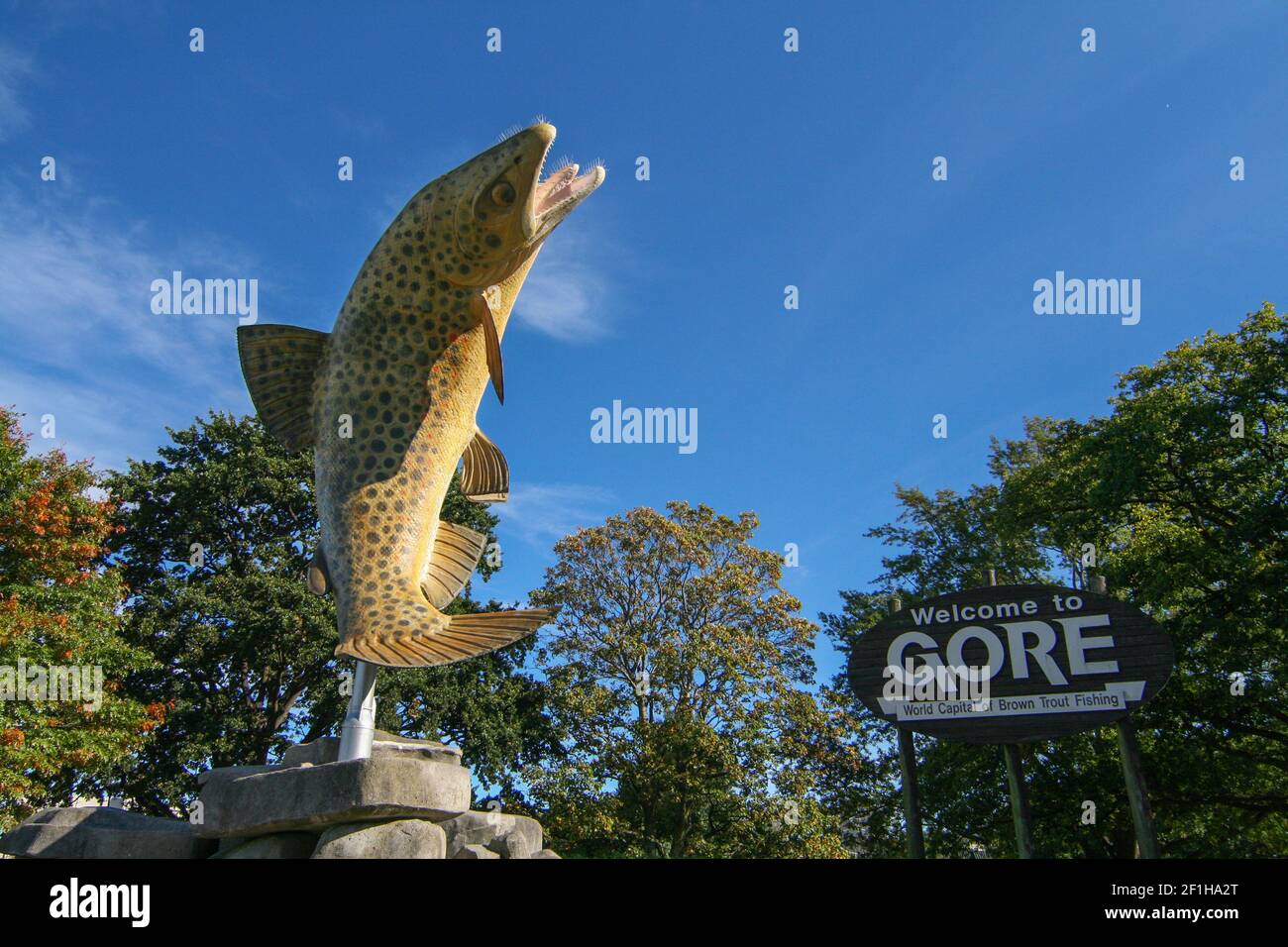 Monumentale statua della trota marrone da vicino, simbolo della città, Gore, Isola del Sud Nuova Zelanda Foto Stock