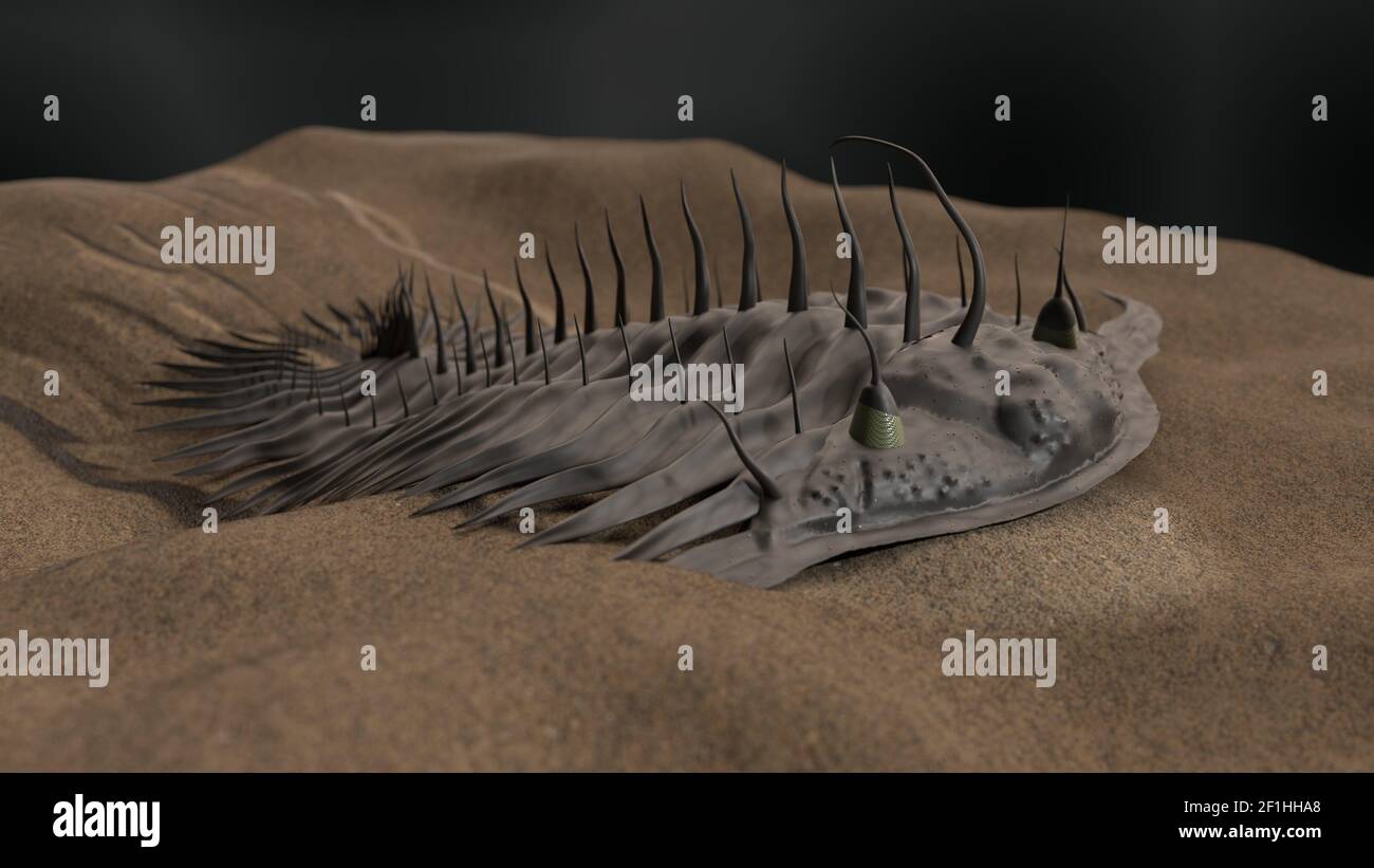 Illustrazione 3d trilobita preistorica Foto Stock