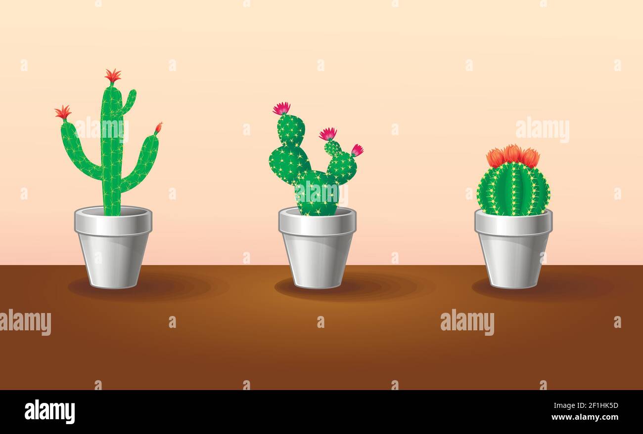 Piante esotiche decorative con cactus in fiore verde in pentole immagine vettoriale isolata su sfondo marrone Illustrazione Vettoriale