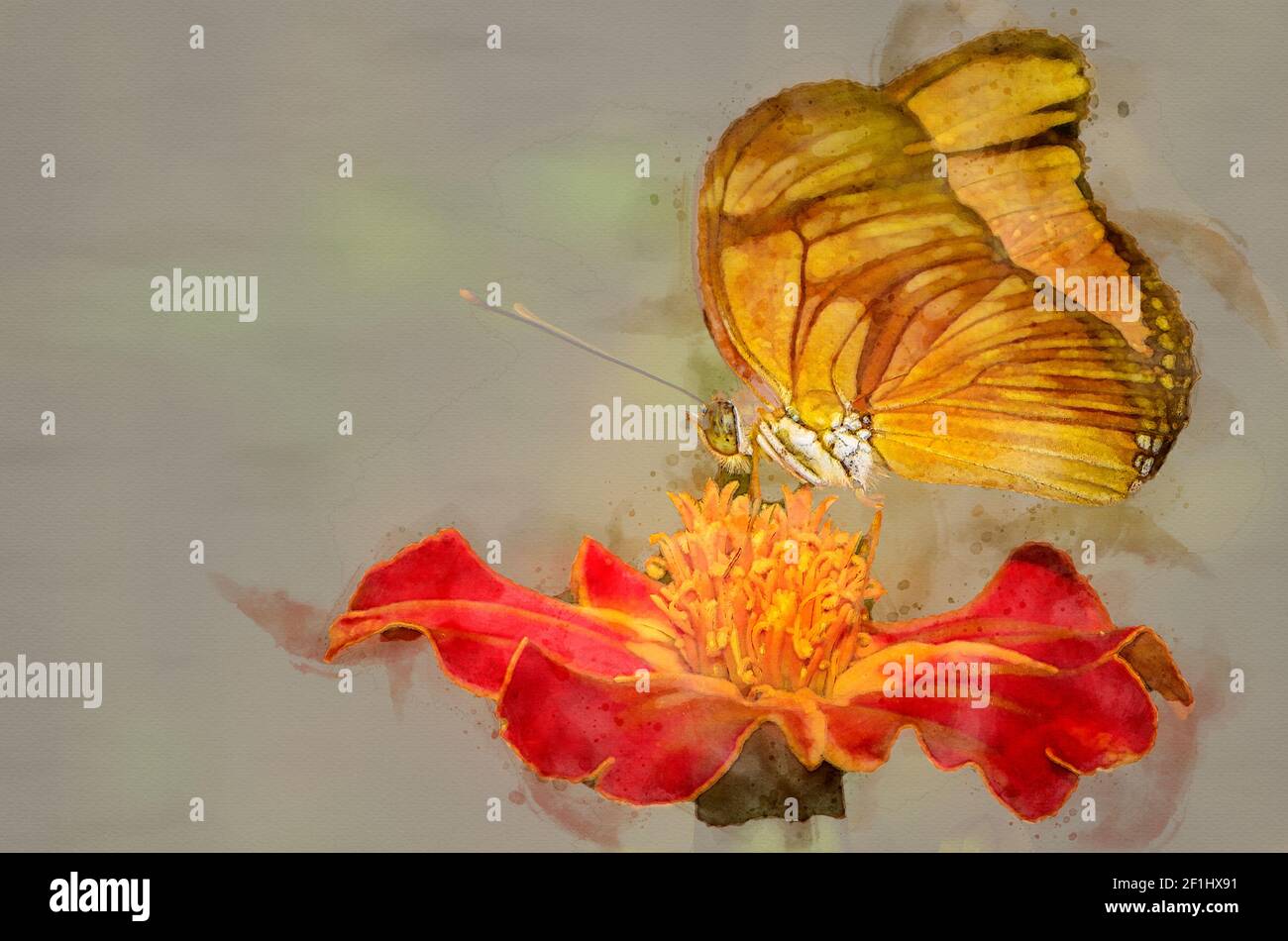 Illustrazione digitale colorata dell'acquerello a farfalla Foto Stock