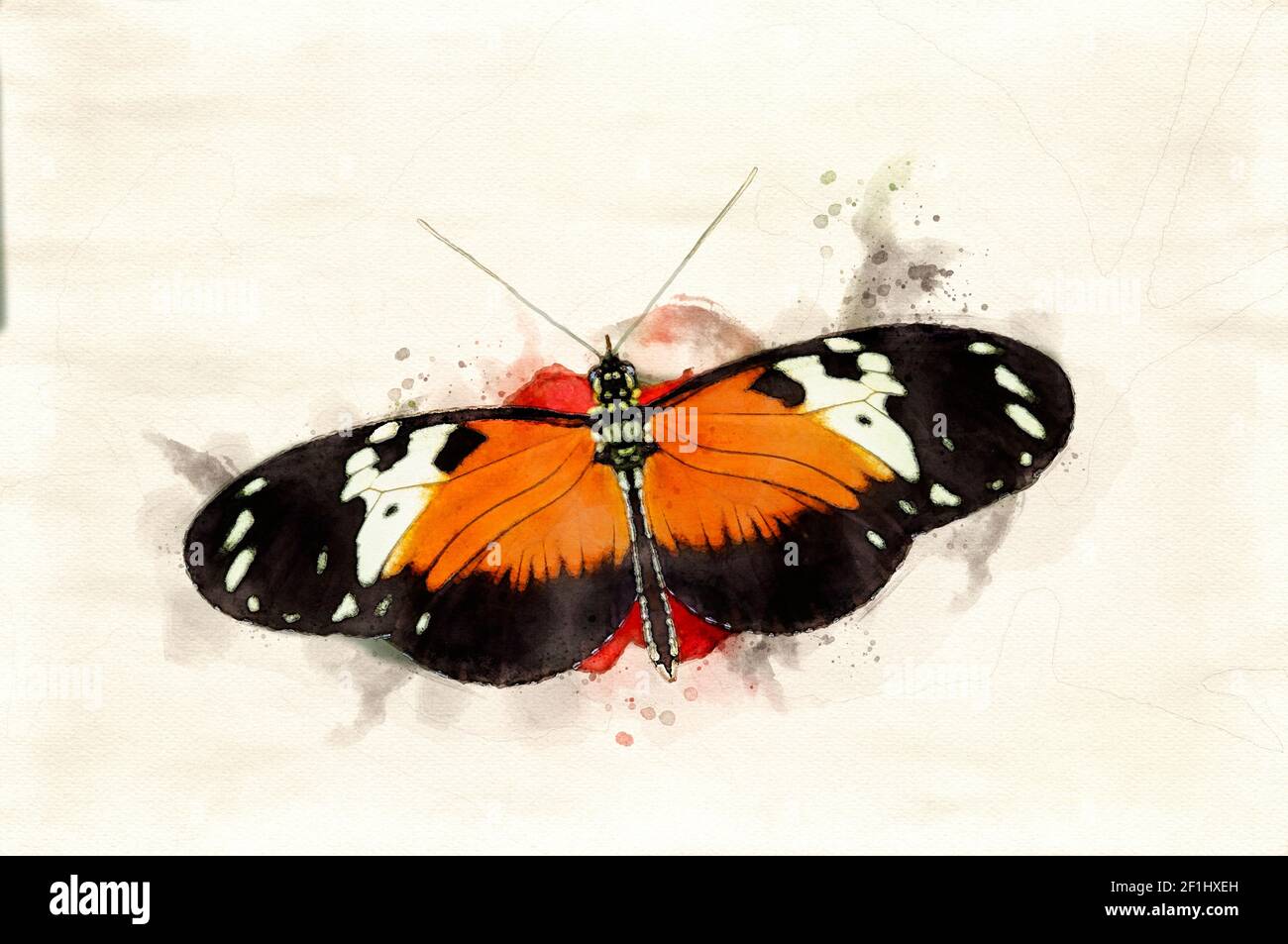 Illustrazione digitale colorata dell'acquerello a farfalla Foto Stock