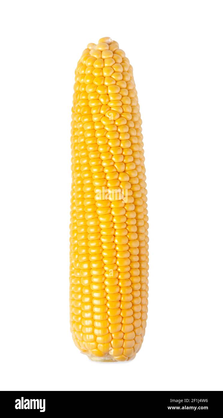 Corn. COB Foto Stock