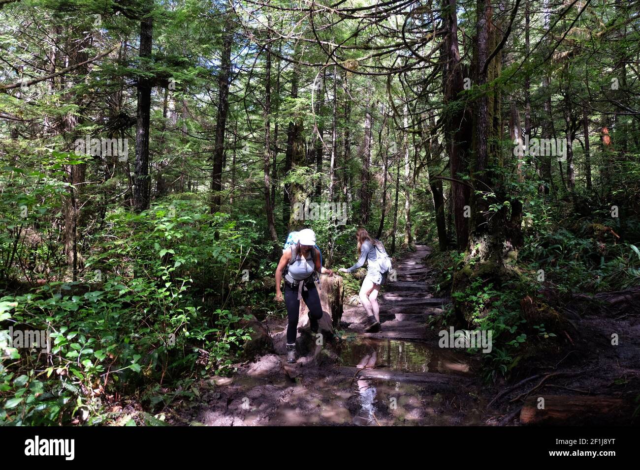 Due donne che camminano nella foresta. Foto Stock