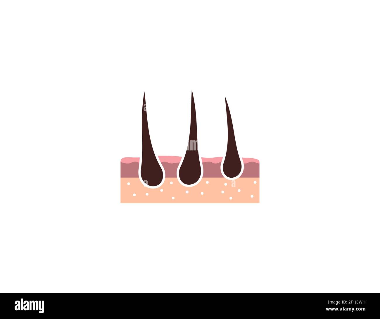 Illustrazione vettoriale. Icona della radice dei follicoli piliferi Illustrazione Vettoriale