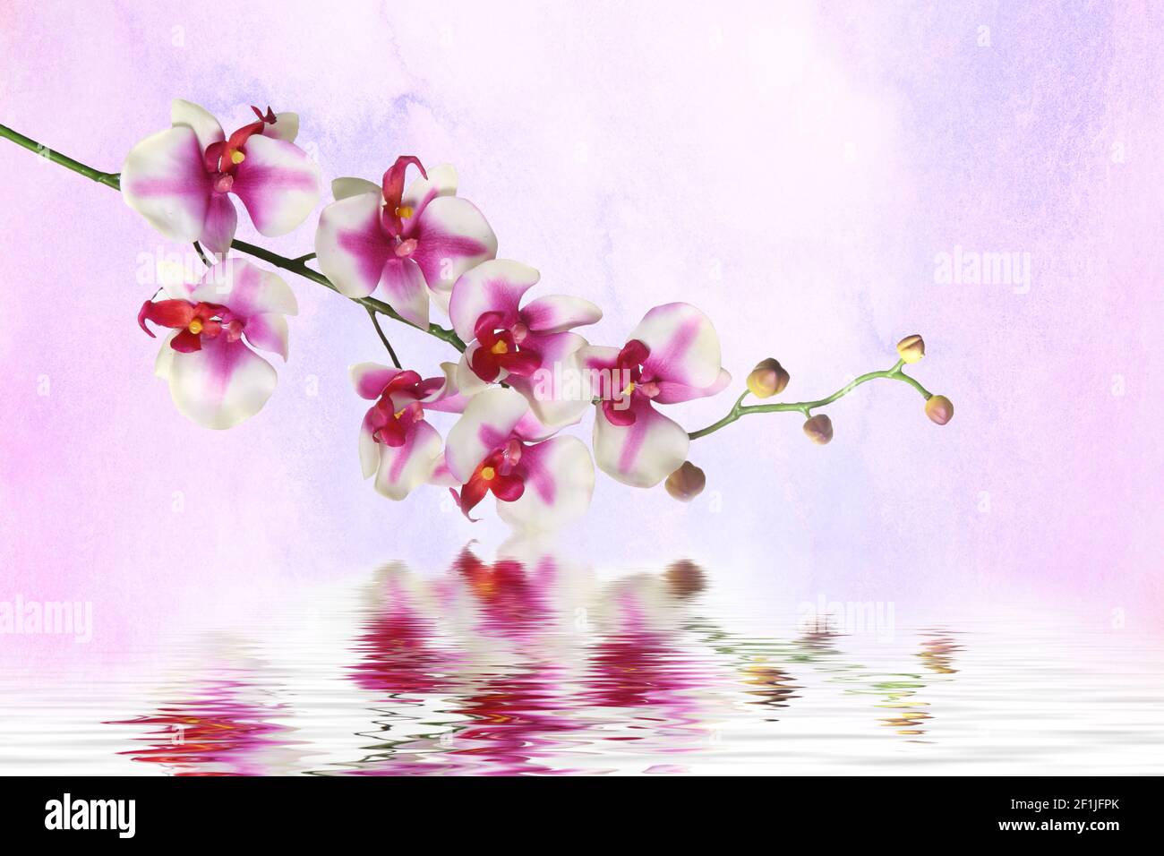 Sfondo personalizzato Modern Mural Photo, illustrazione 3d Foto Stock