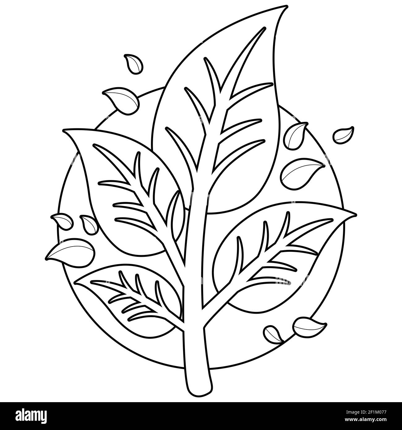 Ramo di albero con foglie. Pagina da colorare in bianco e nero Foto stock -  Alamy