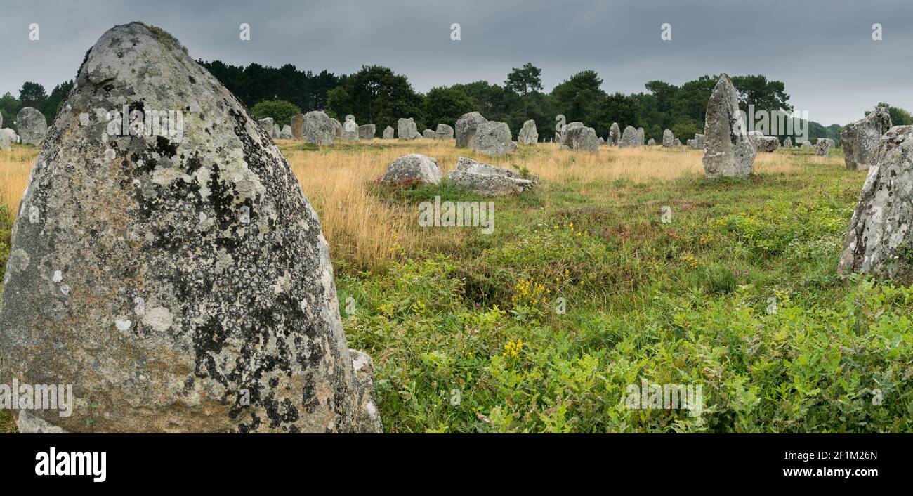 Vista panoramica di monoliti preistorici allineamenti in pietra in Bretagna A Carnac Foto Stock