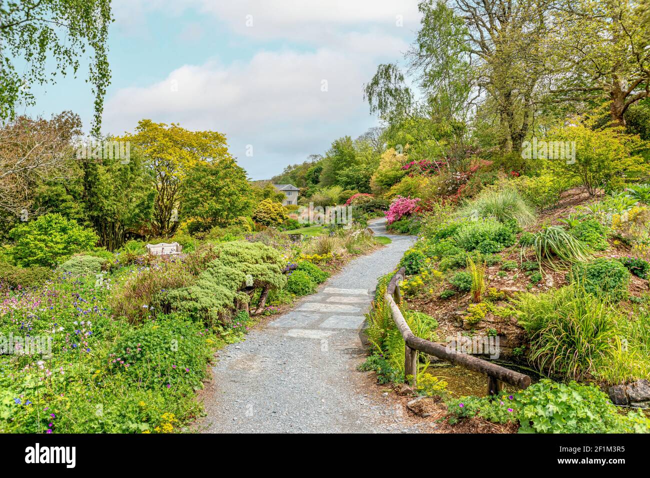 Giardino estivo presso la Casa del giardino, Yelverton, Devon, Inghilterra Foto Stock