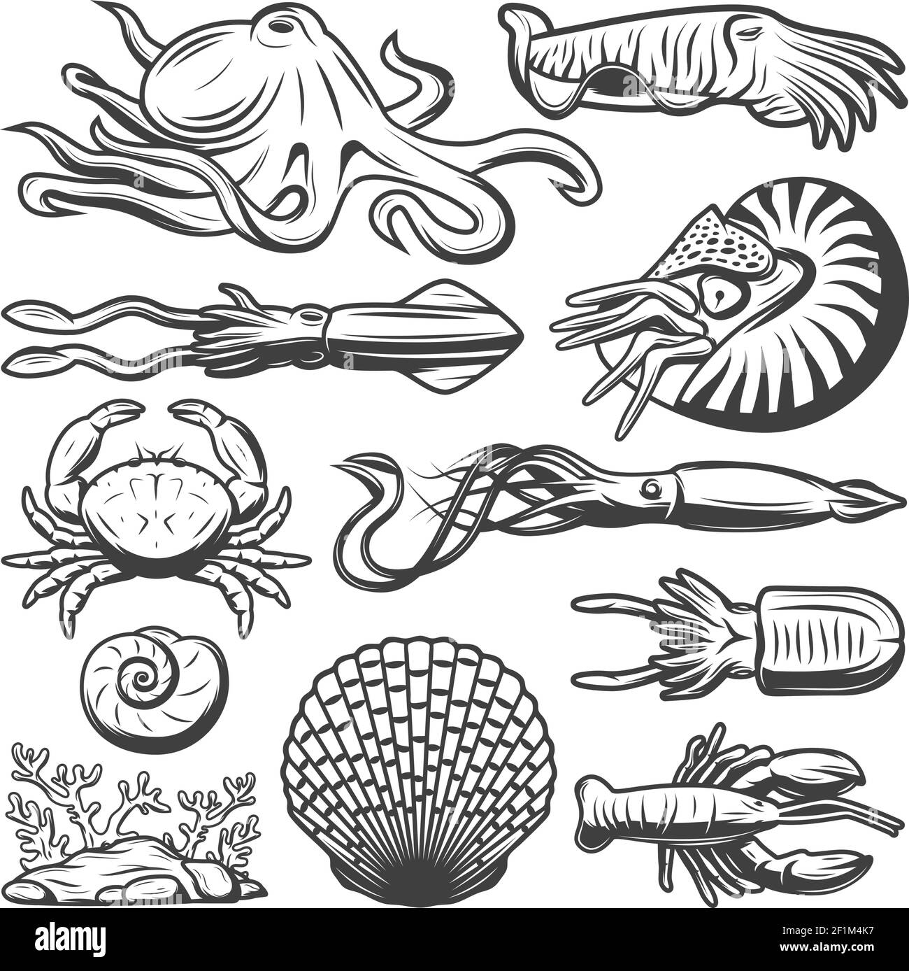 Collezione vintage Marine LIFE con gamberi di polpo calamari di granchio seppie aragosta alghe gamberi seashells isolato vettore illustrazione Illustrazione Vettoriale