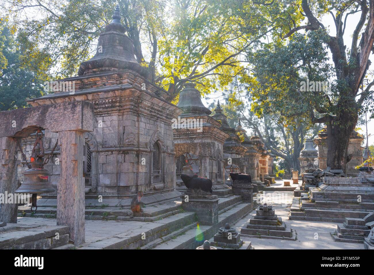 Pashupatinath è un complesso di templi indù a Kathmandu. Nepal Foto Stock