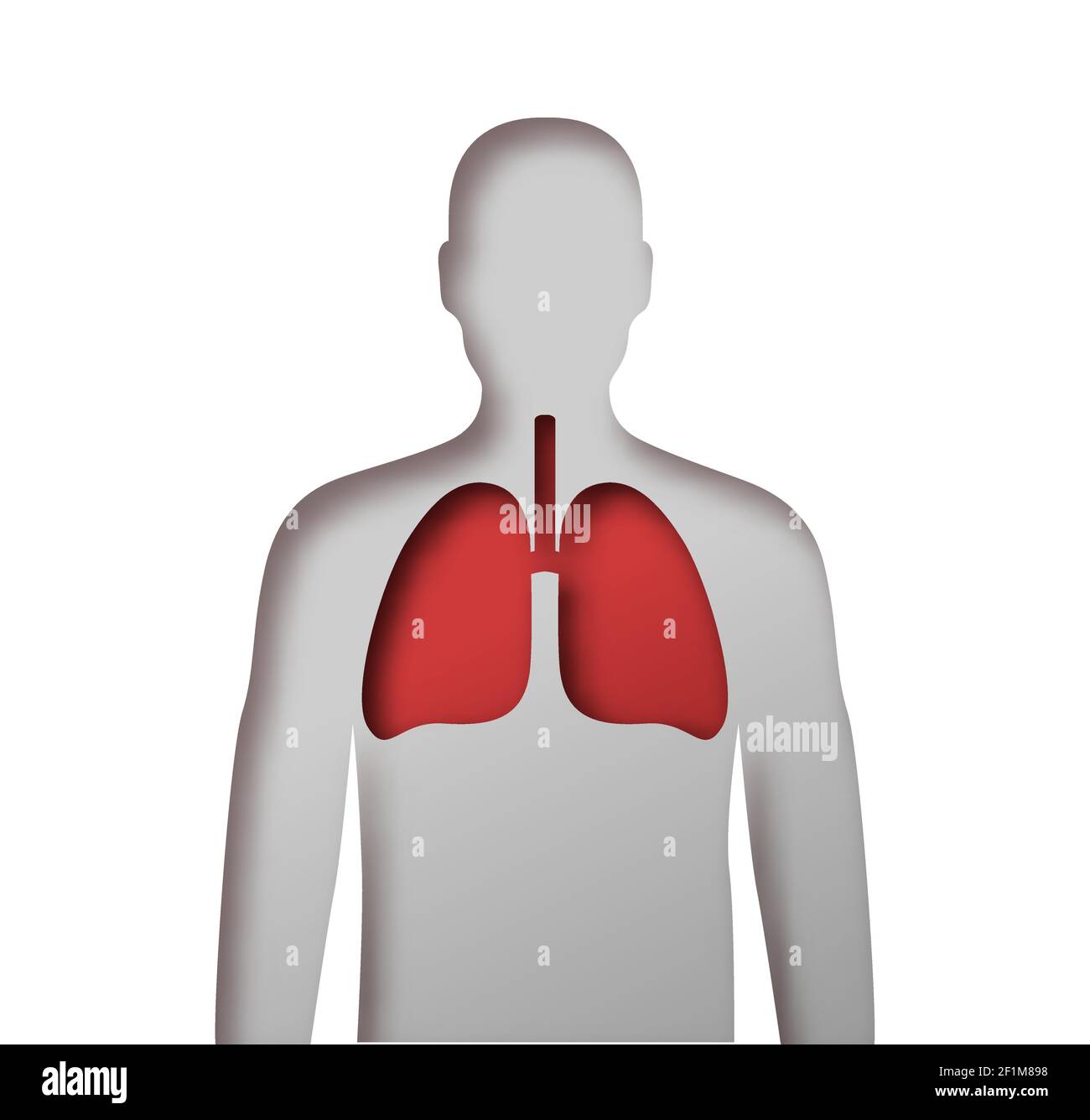 Carta tagliata corpo umano con organo polmonare rosso all'interno. Vista anatomica a raggi X della silhouette uomo su sfondo bianco isolato per la medicina o problemi di salute conc Illustrazione Vettoriale