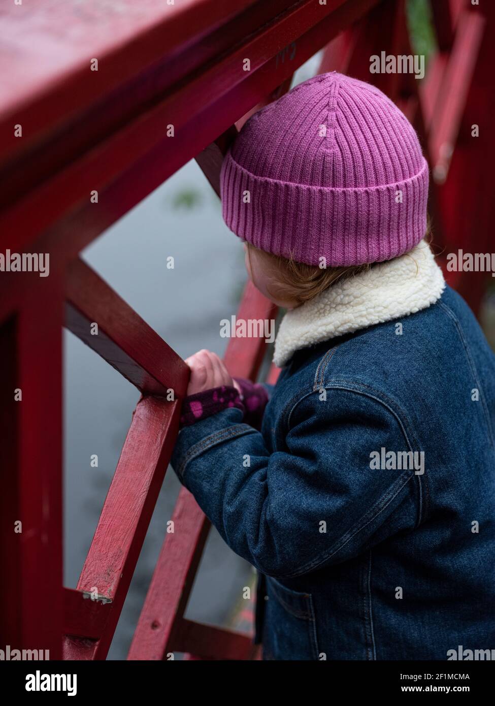 Il Toddler girl guardando lontano Foto Stock