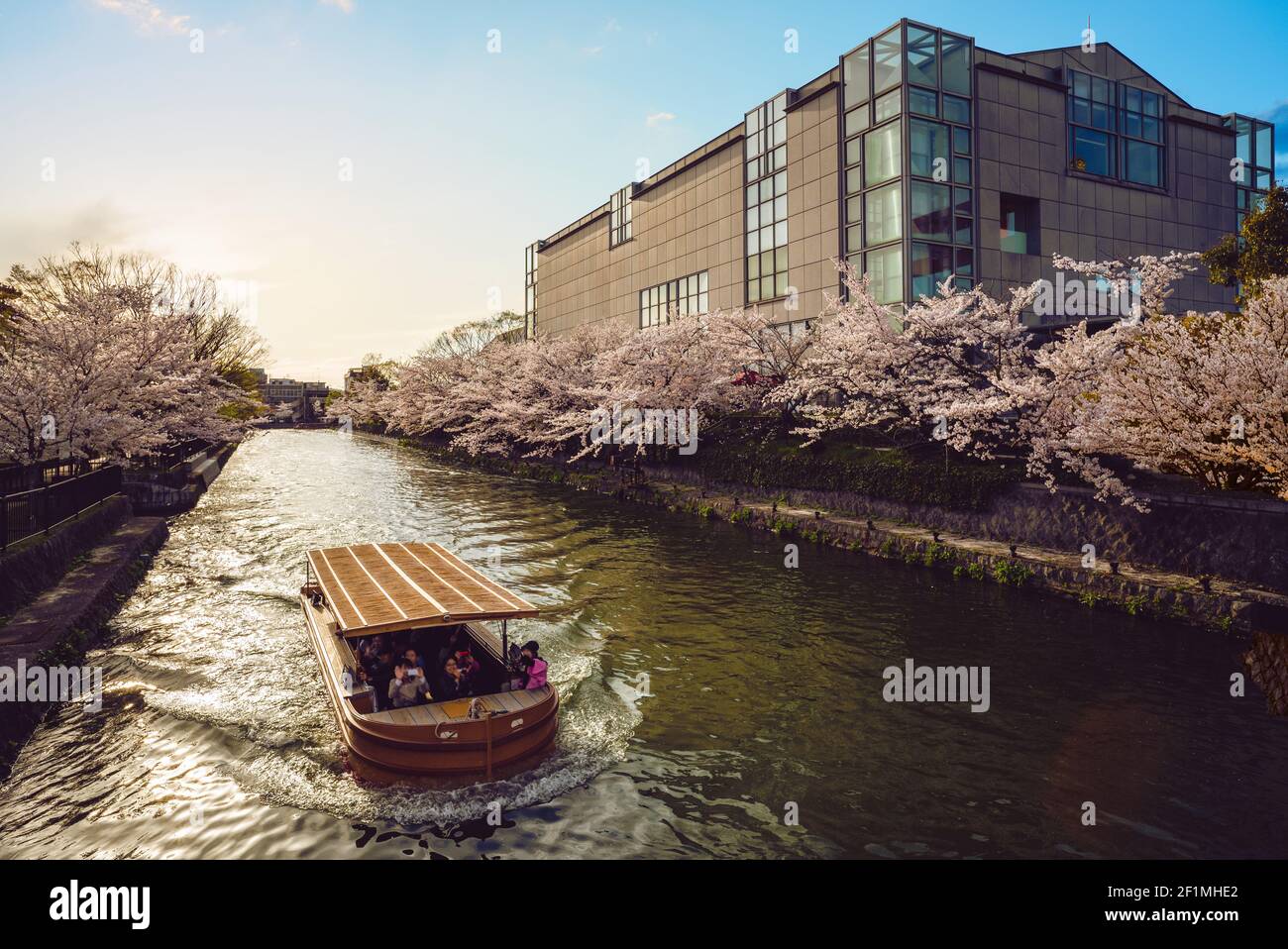 Canale Okazaki con fiori di ciliegio a kyoto, giappone al tramonto Foto Stock