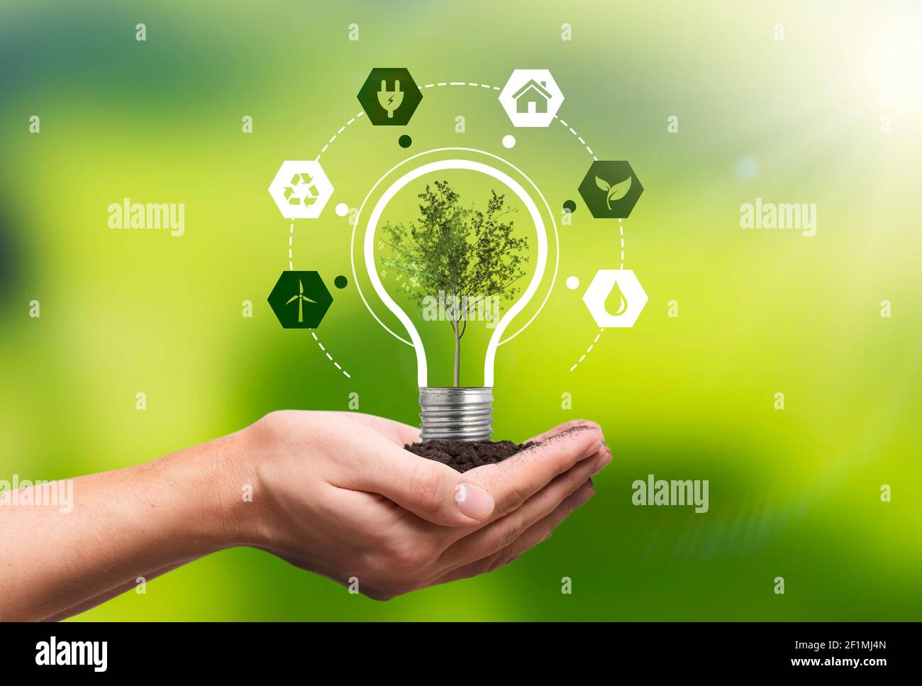 Protezione dell'ambiente, fonti energetiche rinnovabili e sostenibili. Pianta che cresce nel concetto di bulbo Foto Stock
