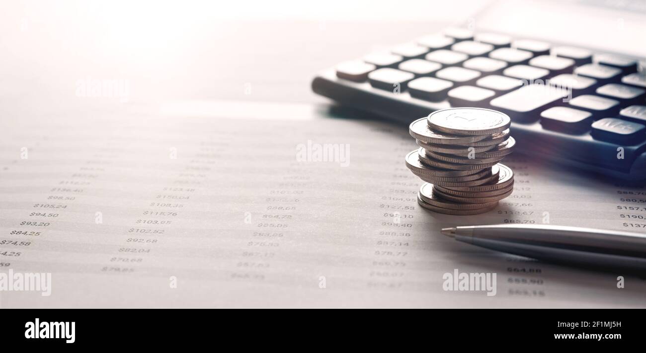 Contabilità finanziaria, budget, concetto di borsa. Pila di monete polacche Foto Stock