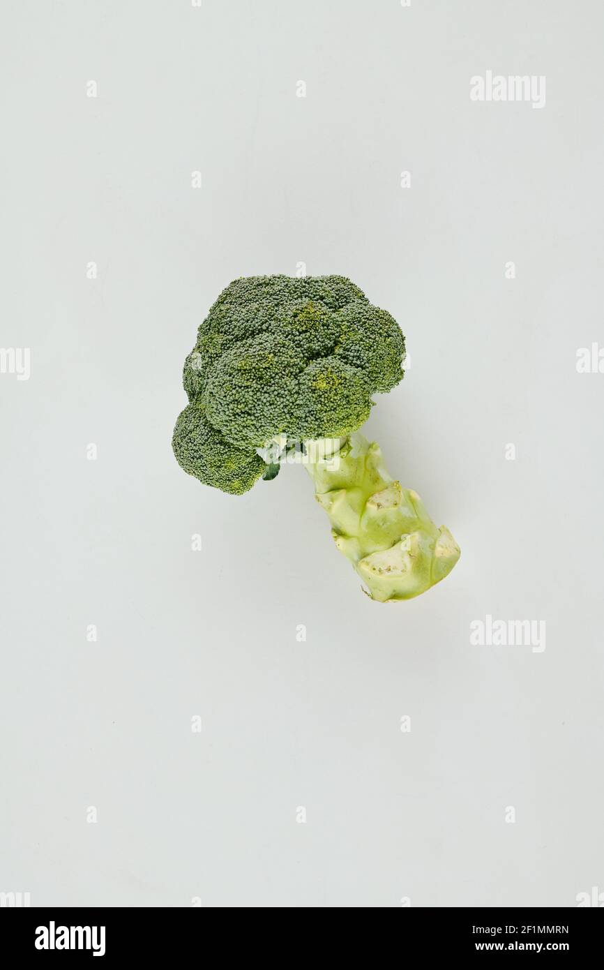 Testa di broccoli organici freschi su sfondo grigio chiaro, vista dall'alto Foto Stock