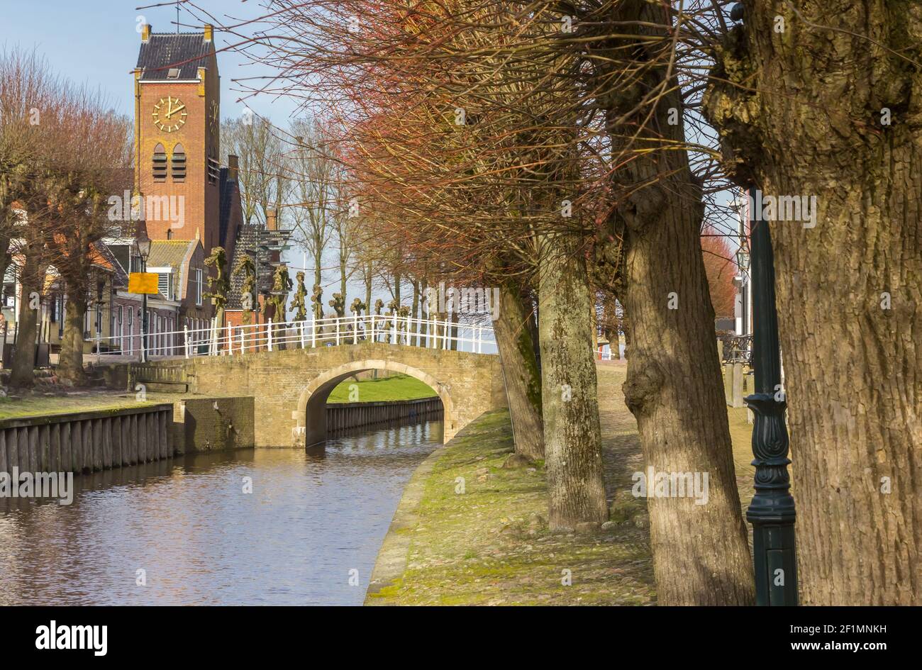 Pollard salice sul canale centrale di Sloten, Paesi Bassi Foto Stock