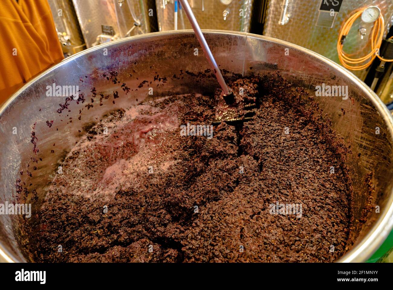 Mescolando e mescolando barrique uve pinot nero fermentate in un aprire il serbatoio durante la vinificazione Foto Stock