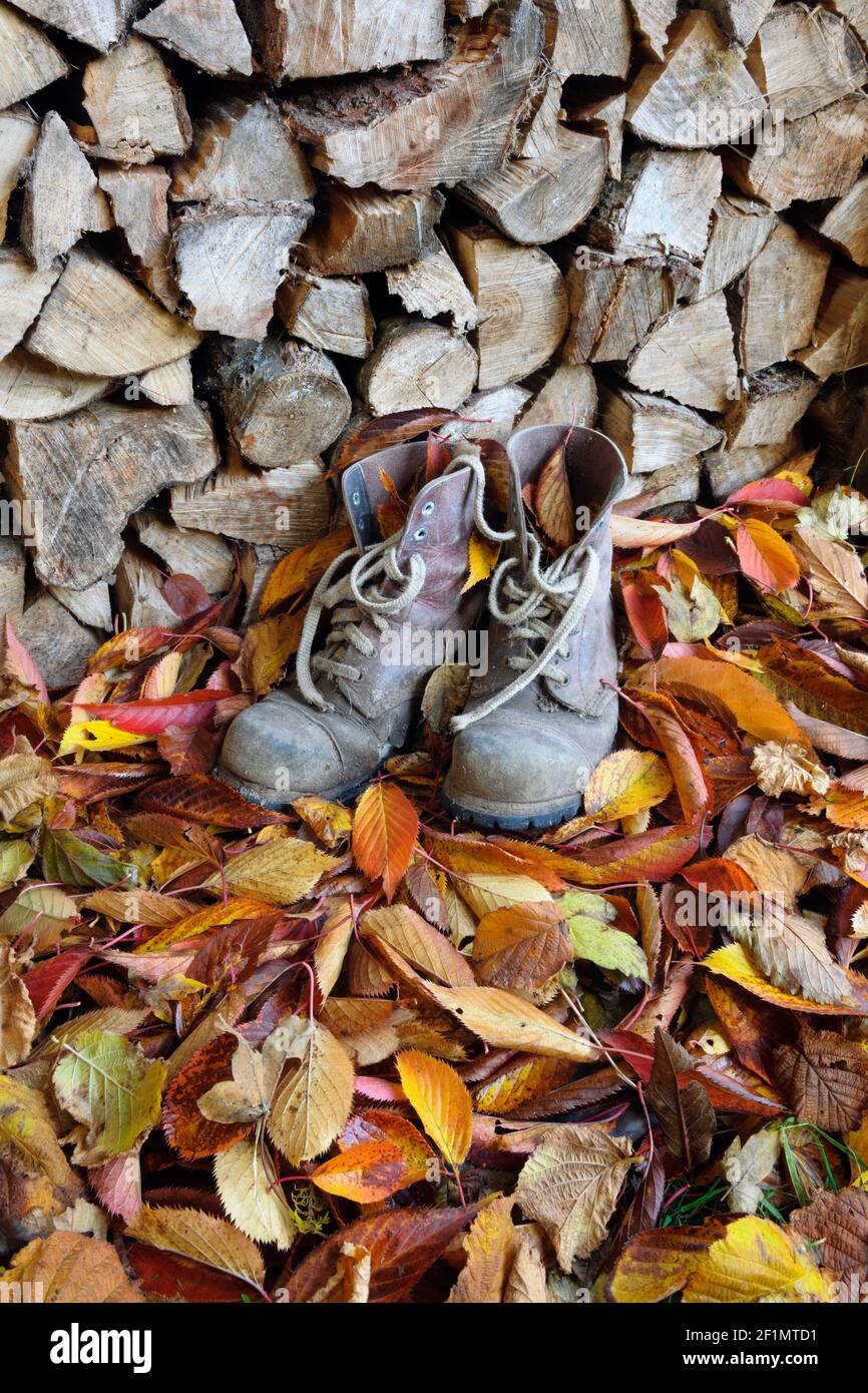 Vecchi stivali da lavoro in capannone di legno, su un letto di foglie d'autunno caduto. Foto Stock