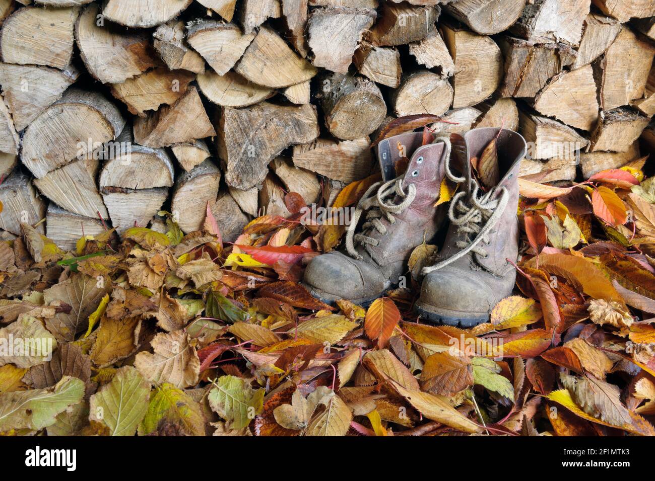 Vecchi stivali da lavoro in capannone di legno, su un letto di foglie d'autunno caduto. Foto Stock