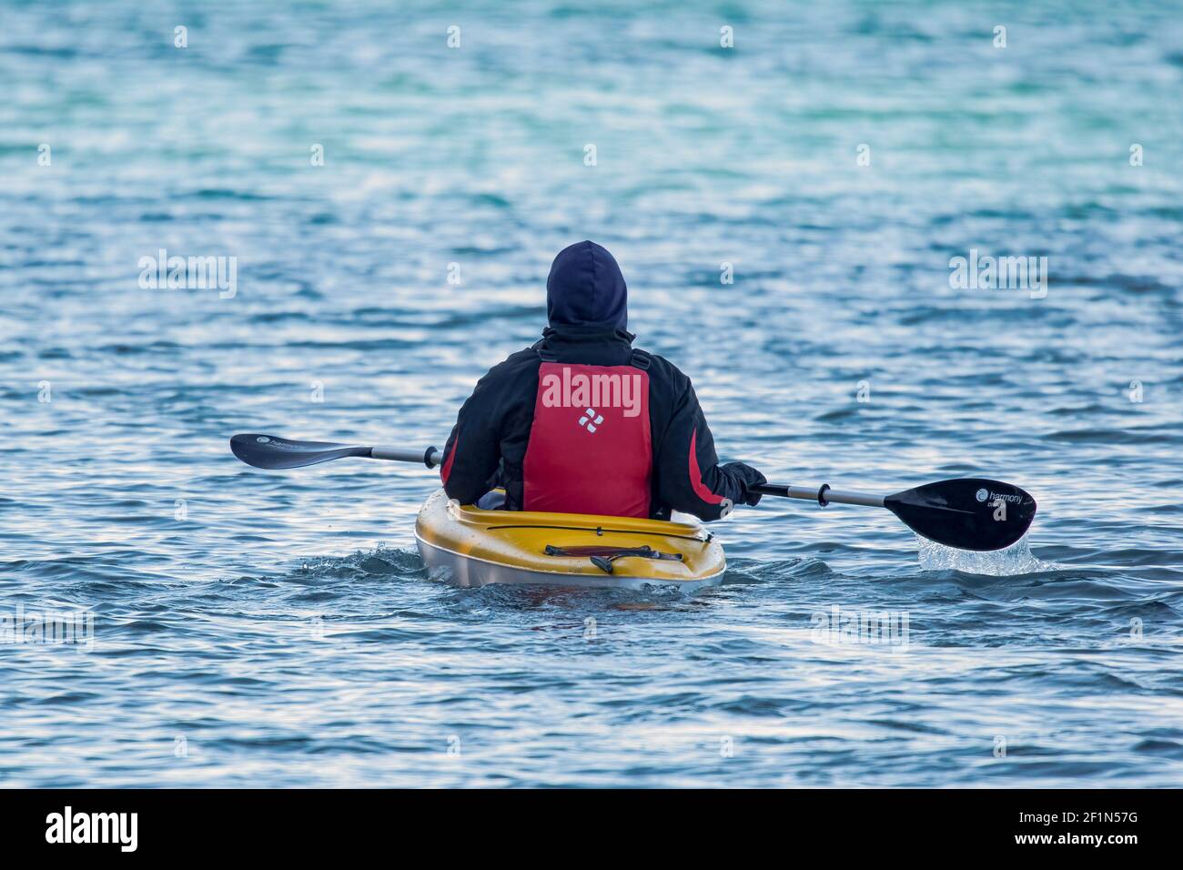 Un'anima sana per un viaggio in kayak nel tardo inverno nel canale di navigazione tra Green Bay e il lago Michigan nella contea di Door, Wisconsin. Foto Stock