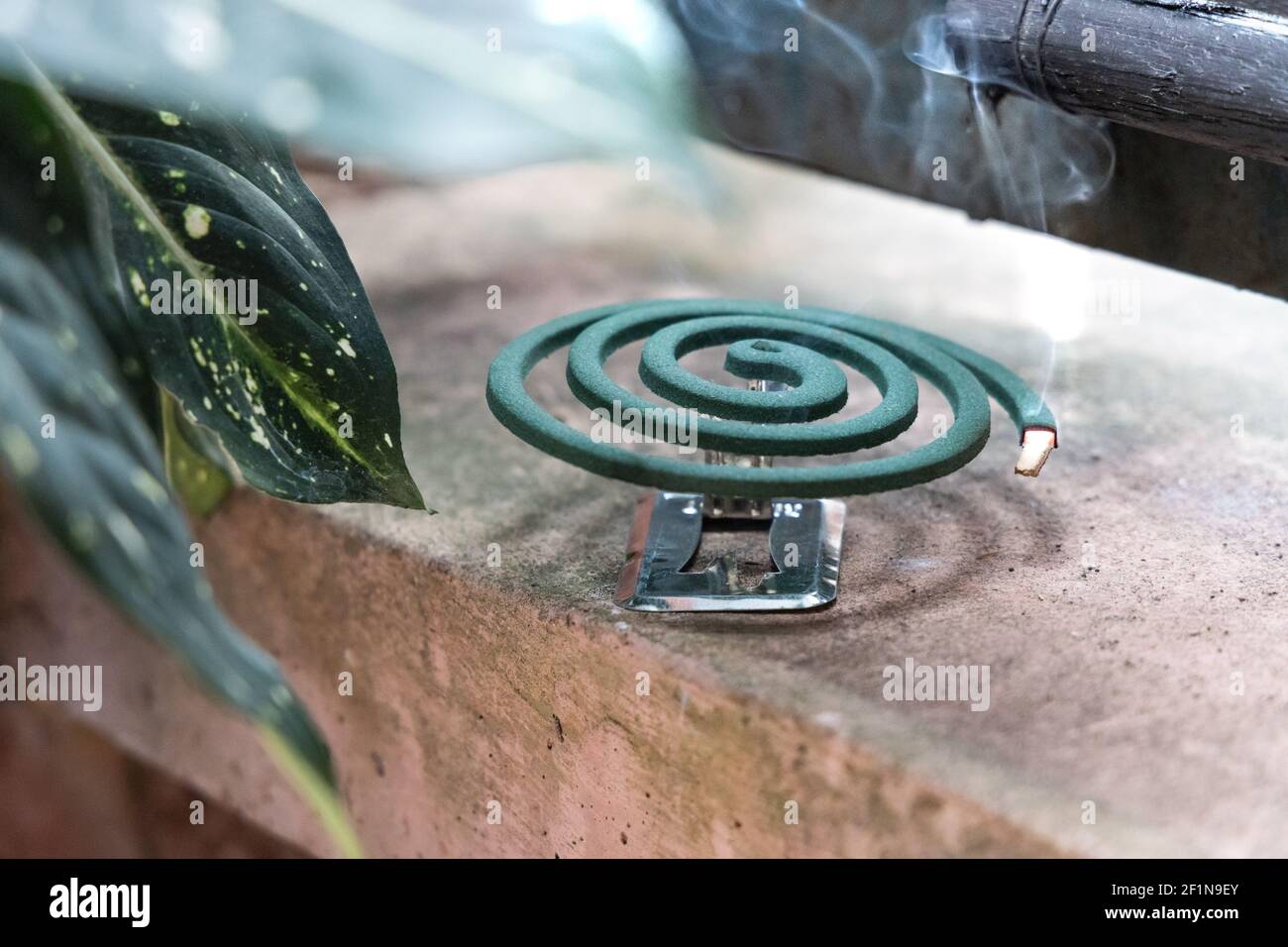 La bobina repellente per zanzare tradizionale emette fumo per respingere la zanzara all'aperto Foto Stock