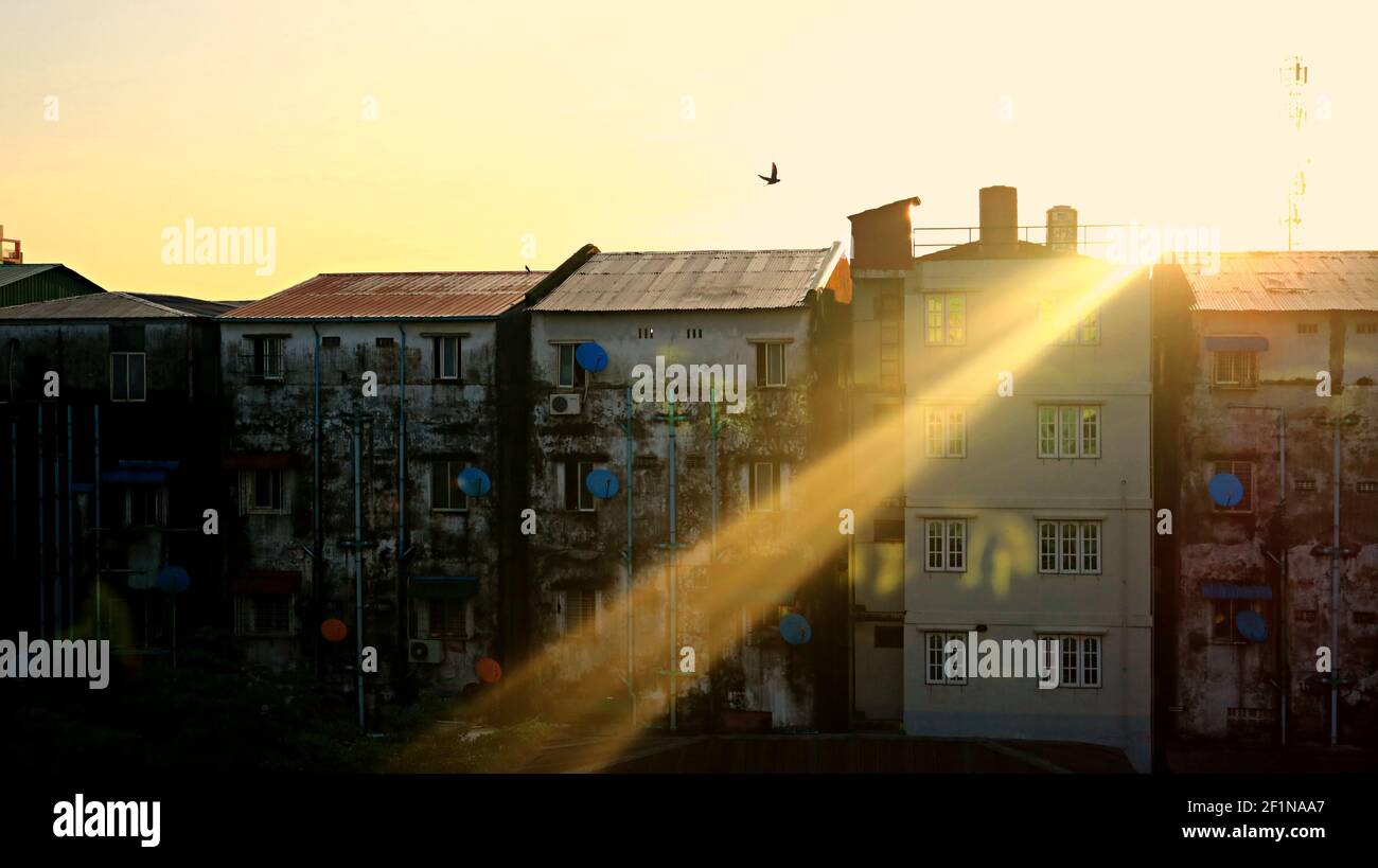 Good Morning Yangon: Sunbeam sul tetto di edifici bassi con una silhouette di un unico uccello volante come il sole sorge nella capitale della città di Myanmar Foto Stock
