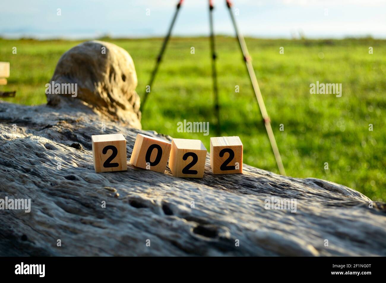 2022 blocco cubico di legno su vecchio ceppo di albero con sfocato sfondo di verde erba oceano e treppiede stand Foto Stock