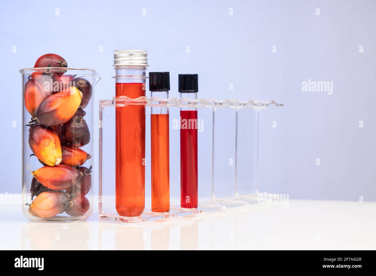 Olio di palma e frutta di colore rosso non raffinati con test in becher provetta in laboratorio Foto Stock
