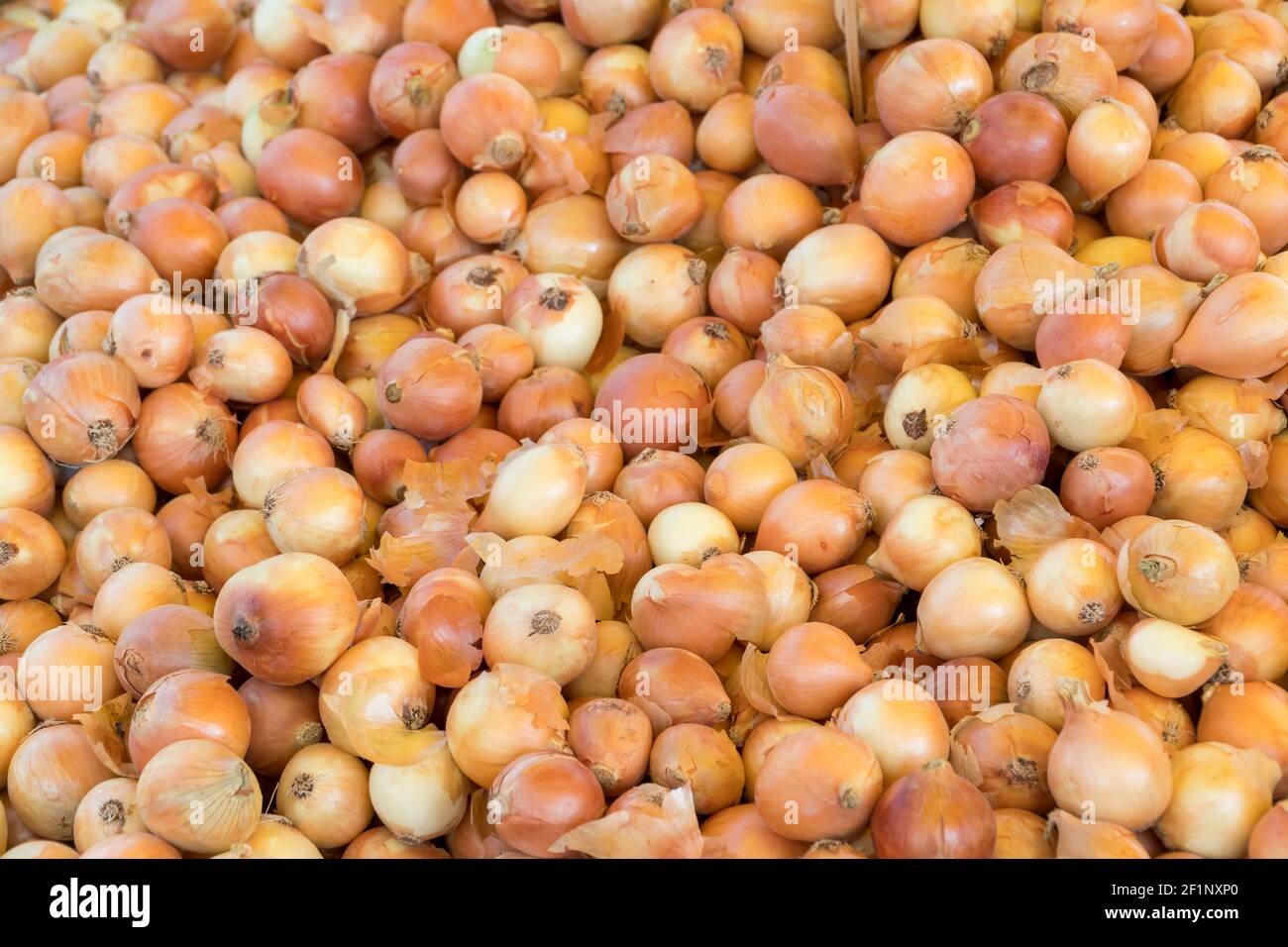 Verdure di cipolla accatastate su una superficie come sfondo Foto Stock