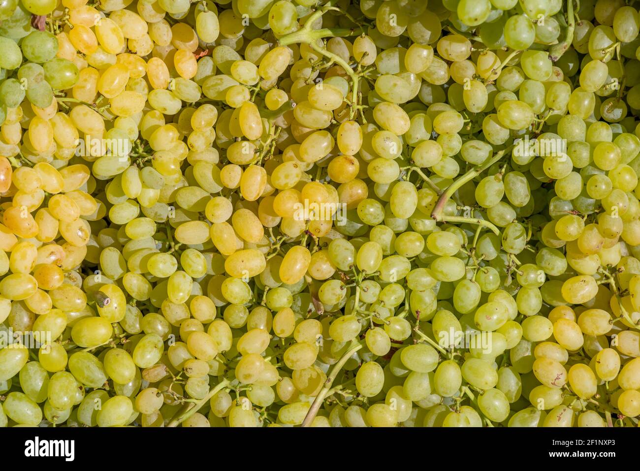 Frutta di uva accatastata su una superficie come sfondo Foto Stock