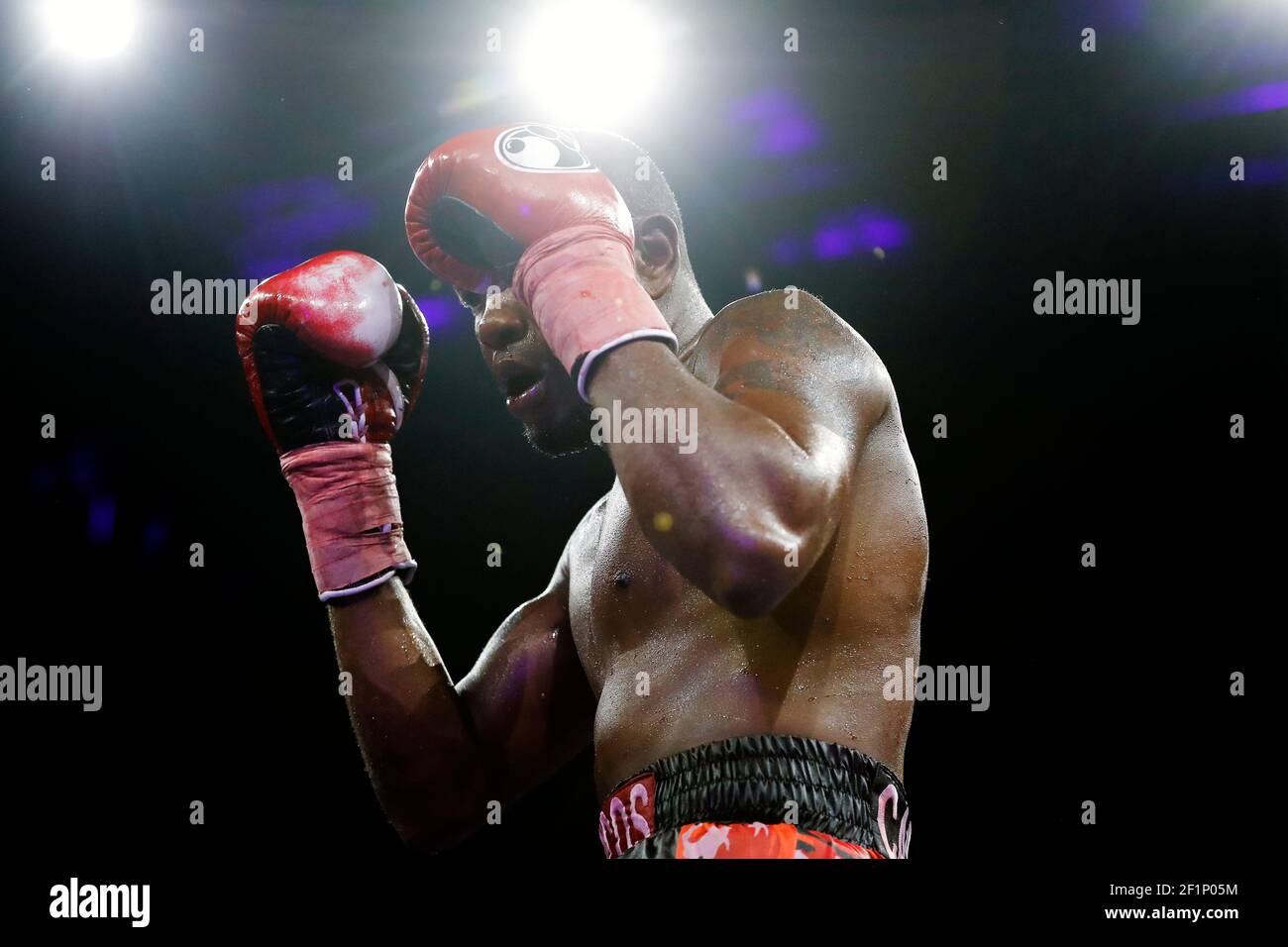 Durante il Boxing WBA World Cruiserweight Championship 2016 tra Yunier Dorticos (CUB) e Youri Kayembre Kalenga (fra) il 20 maggio 2016 al Palais des Sports di Parigi, Francia - Foto Stephane Allaman / DPPI Foto Stock