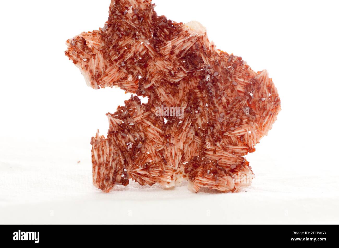 Vanadinite rosso cristallo campione minerale su rocce metamorfiche Foto Stock