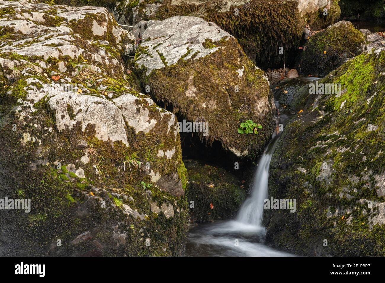 Cascate di Aira Force in autunno, Lake District, Cumbria, Inghilterra Foto Stock