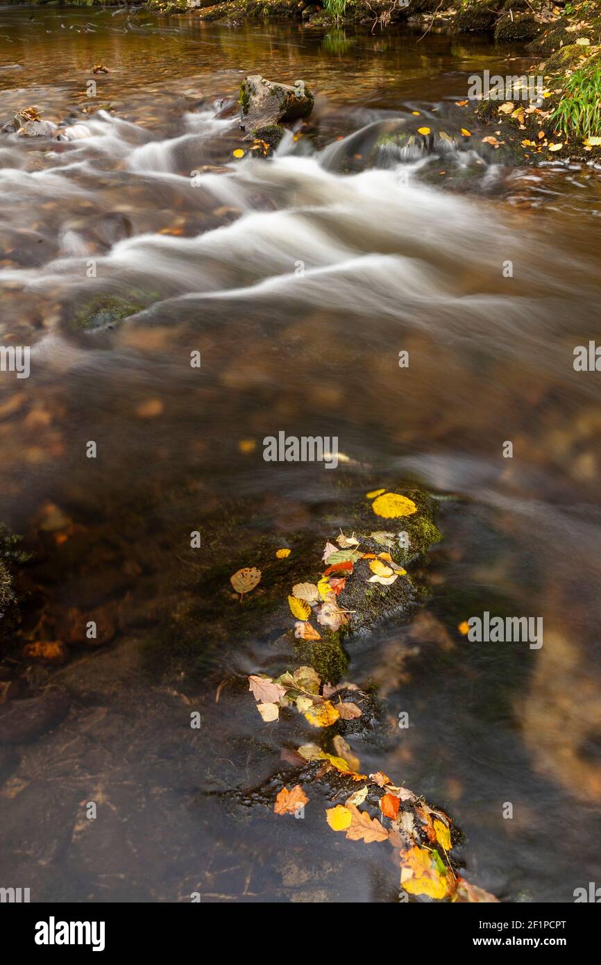 Cascate di Aira Force in autunno, Lake District, Cumbria, Inghilterra Foto Stock