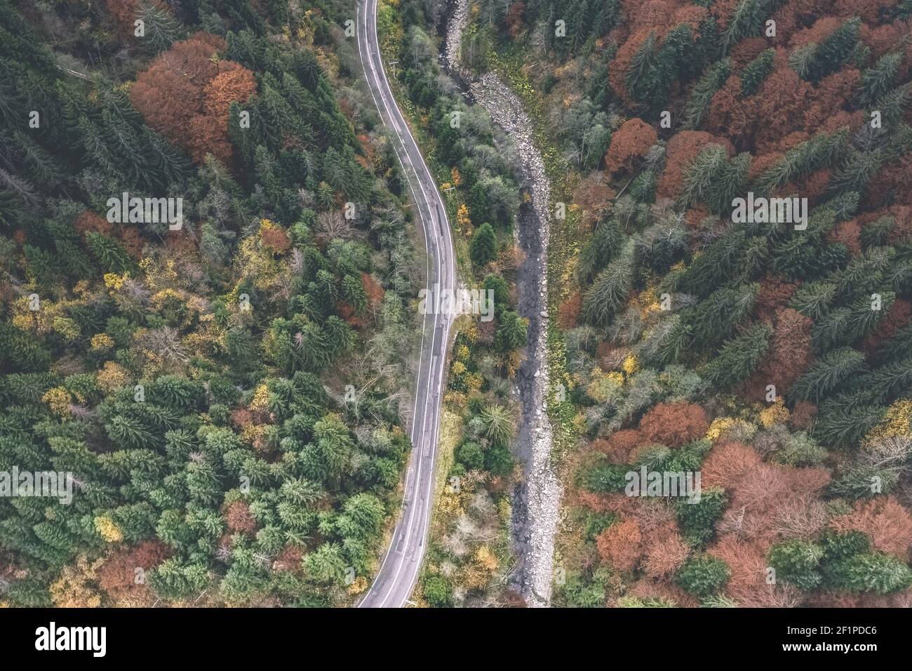 Veduta aerea della strada vuota che costeggia il torrente di montagna Foto Stock