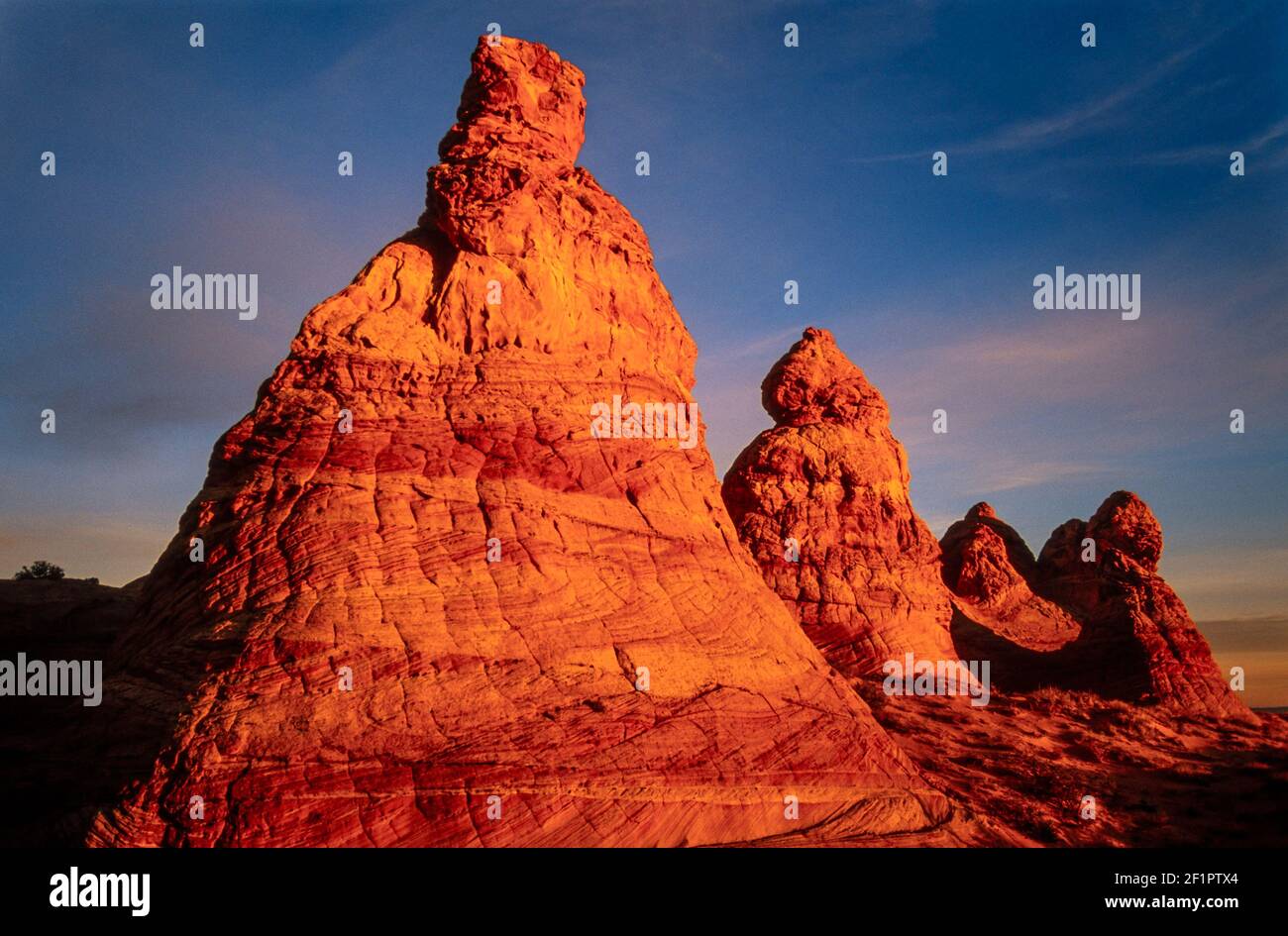 2002 Coyotte Buttes - queste sono formazioni rocciose di dune di sabbia pietrificate durante l'escursione all'alba della mattina presto all'onda. Queste formazioni si trovano sulle pendici dei Coyote Buttes nel Paria Canyon-Vermilion Cliffs Wilderness dell'altopiano del Colorado. Questi coni sferici di roccia dell'alveare sono composti da strati di sottili e delicati rilievi di arenaria. Foto Stock