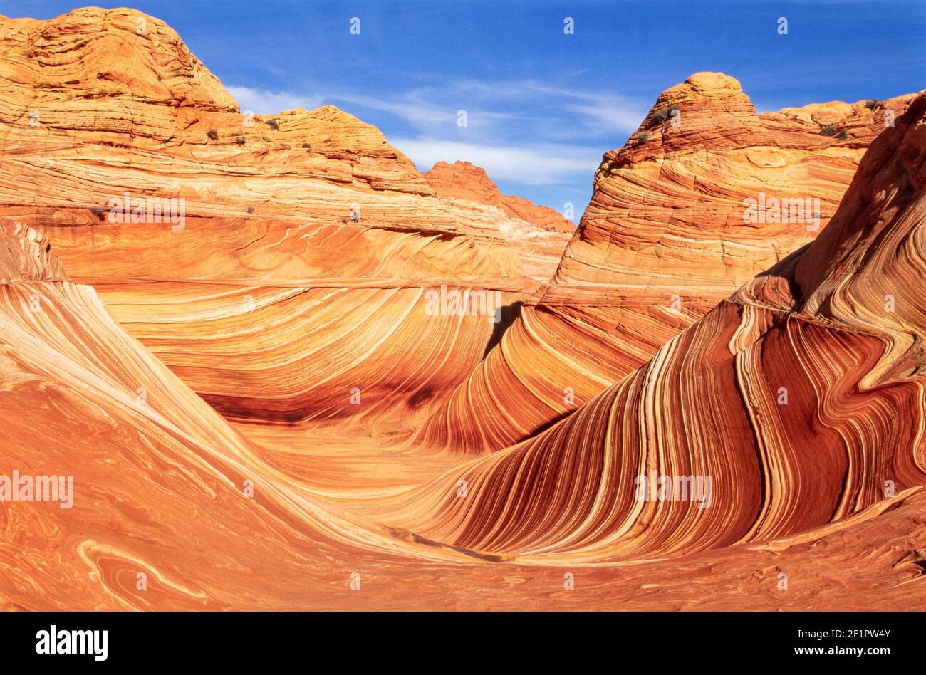 2002 Arizona The Wave - The Wave Arizona è una formazione di arenaria situata in Arizona, Stati Uniti, vicino al suo confine settentrionale con lo Utah. La formazione è situata sulle pendici delle Coyote Buttes nel Paria Canyon-Vermilion Cliffs Wilderness del Colorado Plateau. L'area è amministrata dal Bureau of Land Management (BLM) presso il centro visitatori del Grand Staircase-Escalante National Monument a Kanab, Utah. L'onda è costituita da conca a U intersecanti che sono state erose in arenaria Navajo. La pietra arenaria morbida è fragile, soprattutto le creste e le nervature dell'onda. Foto Stock