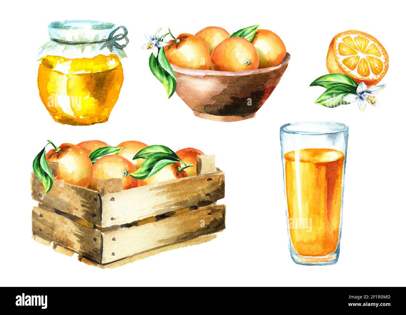 Set arancione. Illustrazione disegnata a mano con acquerello Foto Stock