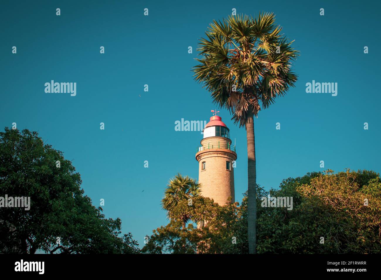 Vista del faro con palma palmyra in primo piano, Mahabalipuram, Tamil Nadu, India. Mahabalipuram è una città nei pressi di Chennai famosa per il suo monume rock Foto Stock