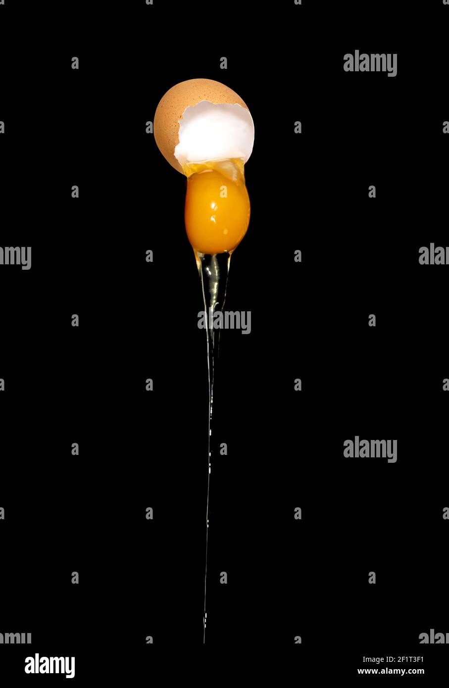 Un uovo che cade da un guscio di uovo non supportato su un nero sfondo Foto Stock