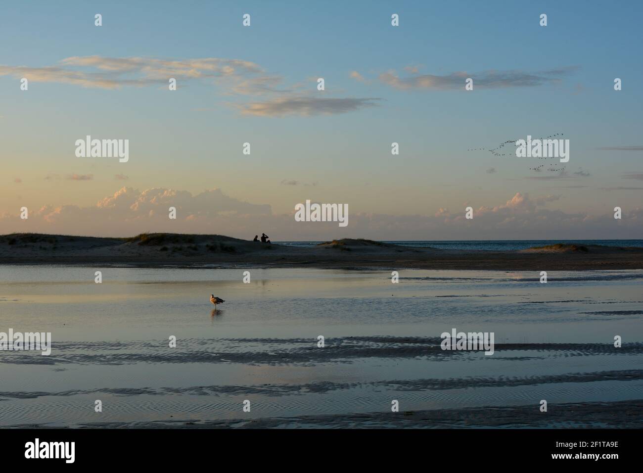 Umore serale a bassa marea sulla costa del Mare del Nord, con un gabbiano in acqua e la gente sulle dune Foto Stock