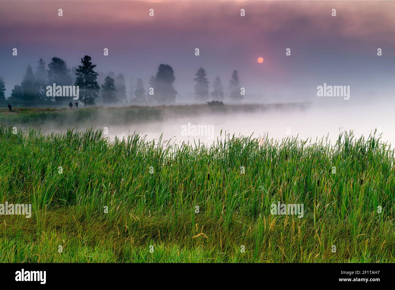 Alba nella nebbia al Lee Metcalf National Wildlife Rifugio Foto Stock