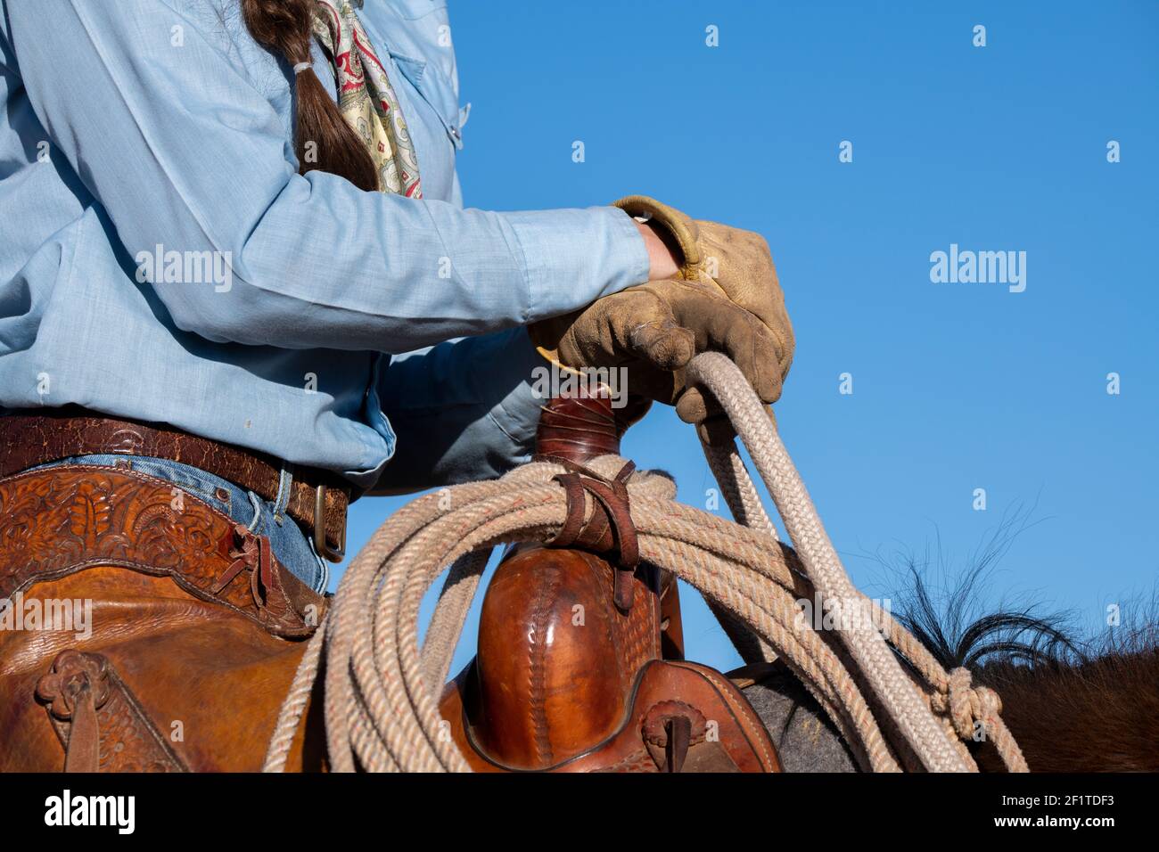 USA, Colorado, Custer County, Westcliffe, Music Meadows Ranch. Dettaglio della mano femminile ranch in tipico abbigliamento Western ranch. Modello rilasciato. Foto Stock