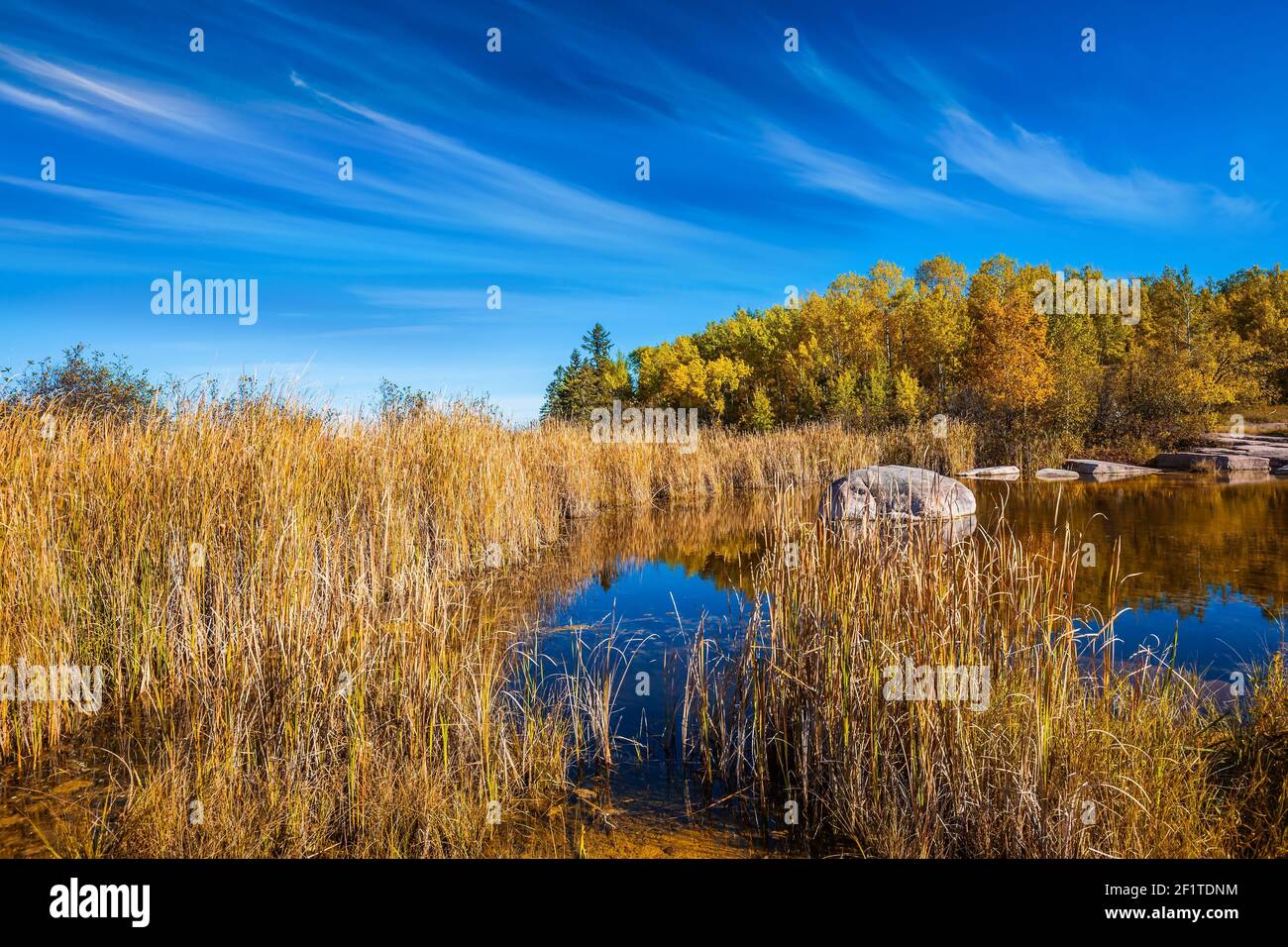 Tendenza in tutto il mondo Foto Stock