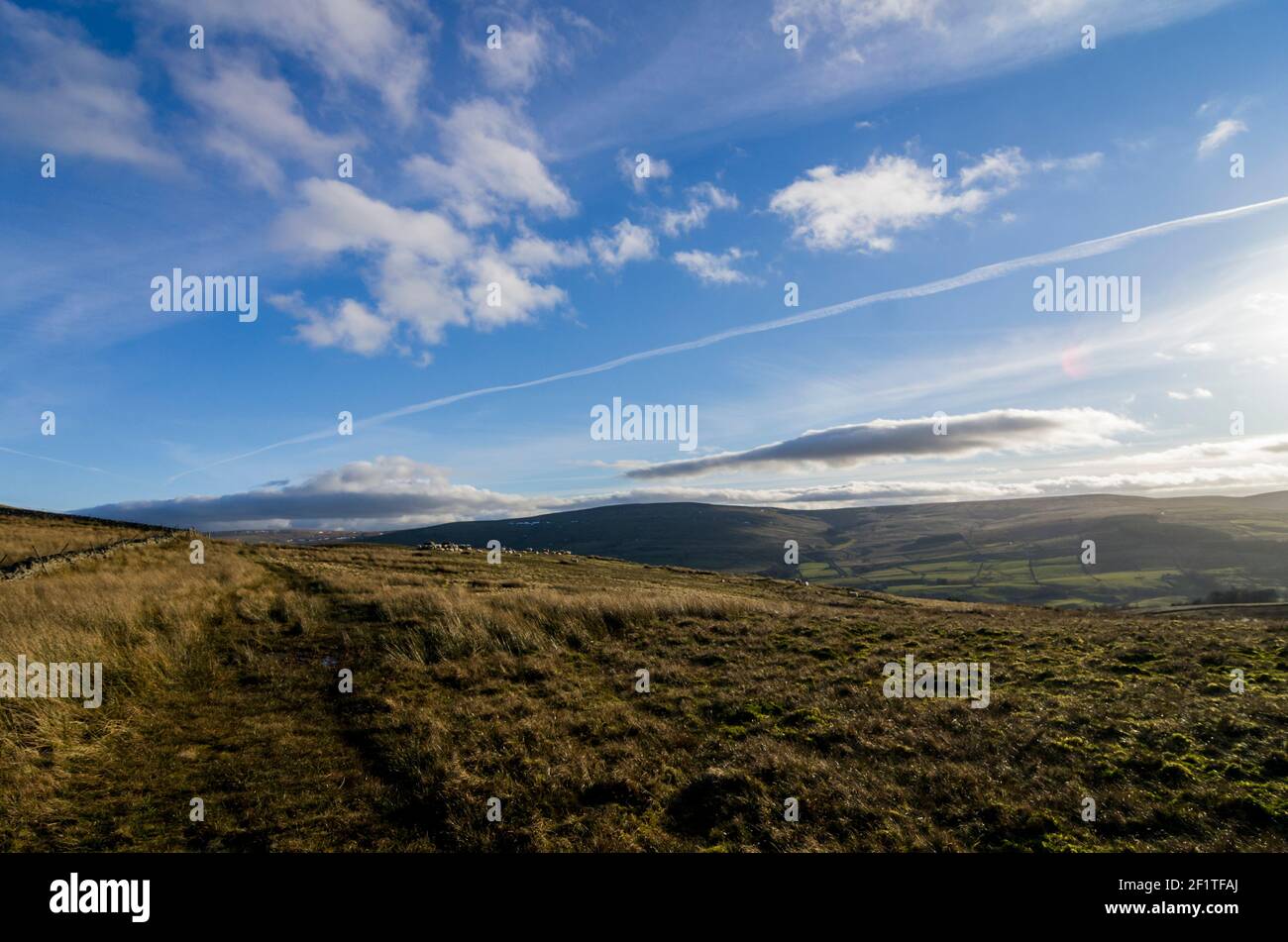 Brughiera, aperta nella zona nord di Pennines, Weardale, Inghilterra, in una soleggiata giornata invernale Foto Stock