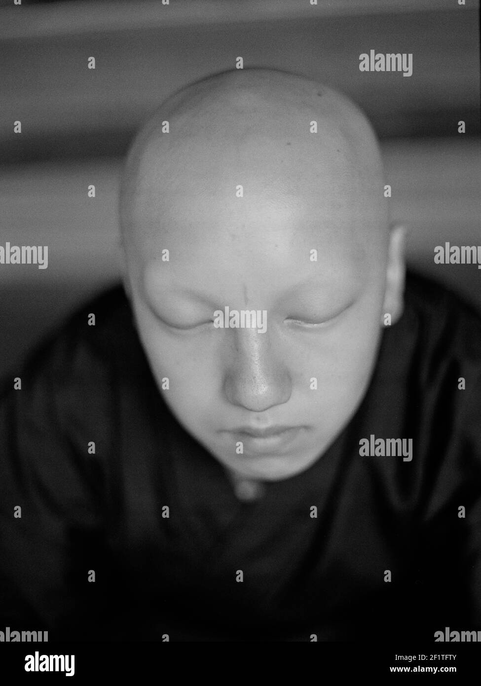 Ritratto del Buddismo Shingon Monk.Koyasan, Monte Koya, Giappone Foto Stock