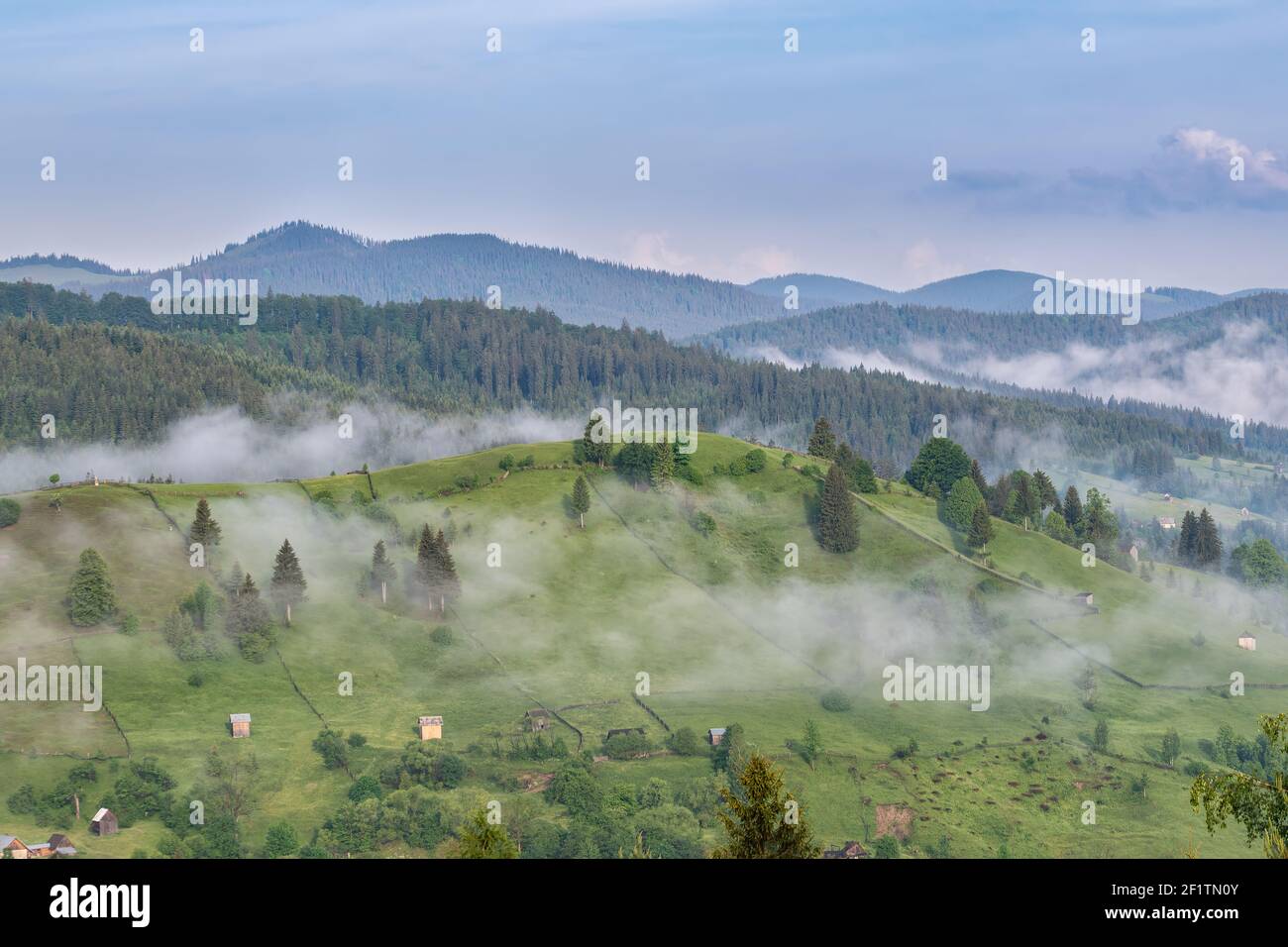 Misty estate mattina paesaggio sul villaggio di Bucovina. Prati verdi ricoperti di nebbia con montagne di abeti sullo sfondo e cielo limpido. Foto Stock