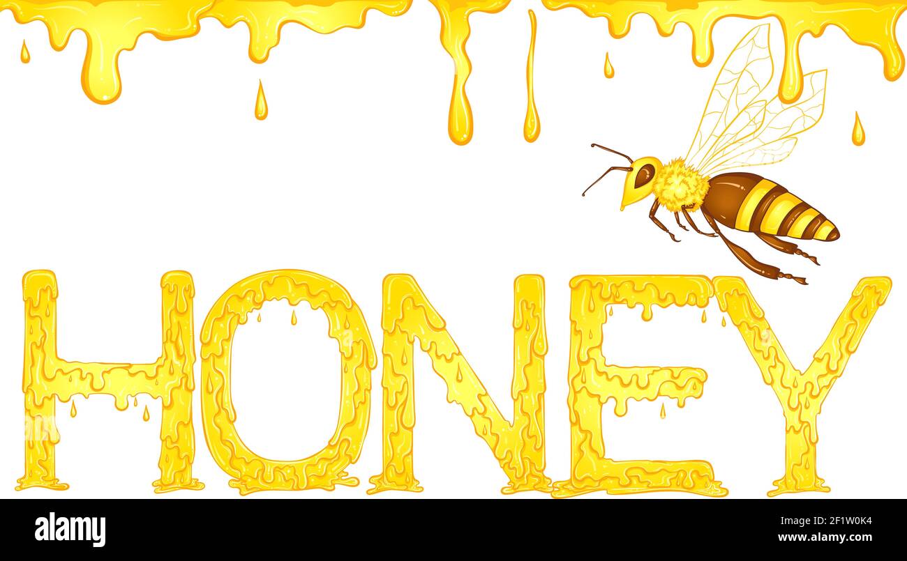 Lettering gocciolamento parola colore giallo miele con gocce e ape. Illustrazione vettoriale isolata su sfondo bianco. Design del carattere in stile disegnato a mano. Parole per stampa, poster, libri, icone, adesivi. Illustrazione Vettoriale
