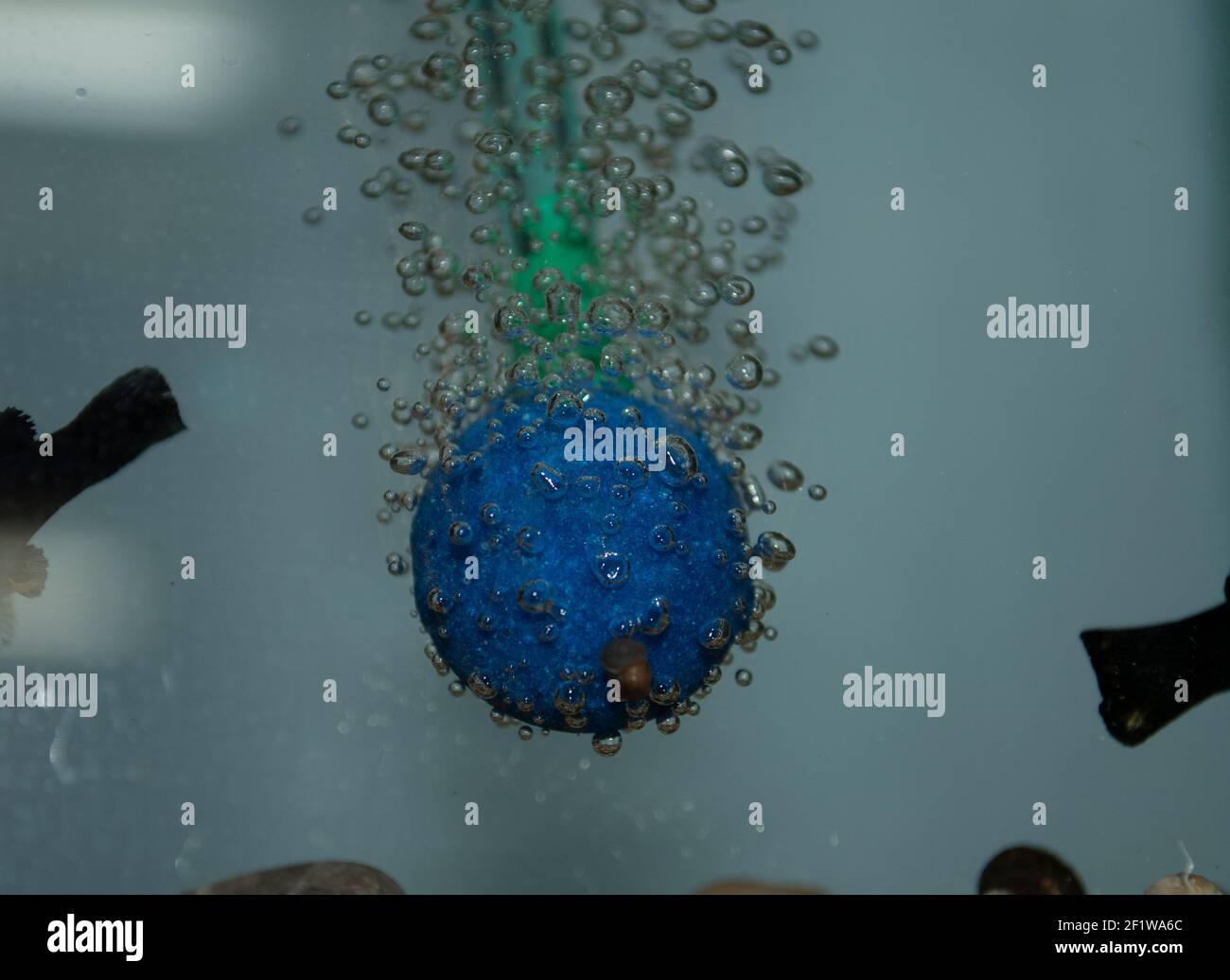 Testa di pietra di sabbia blu con bolle di ossigeno per il serbatoio del pesce Foto Stock